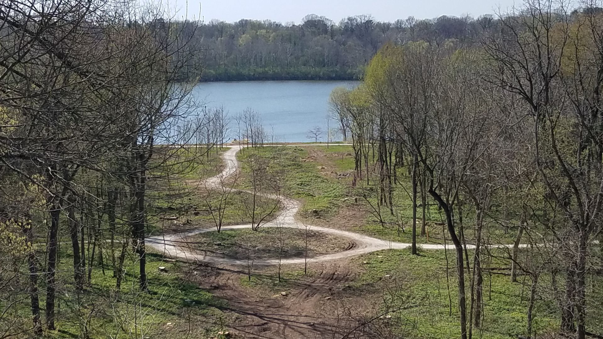 Clearing at Newfields, site of the forthcoming pollinator meadow, viewed from Lilly House terrace